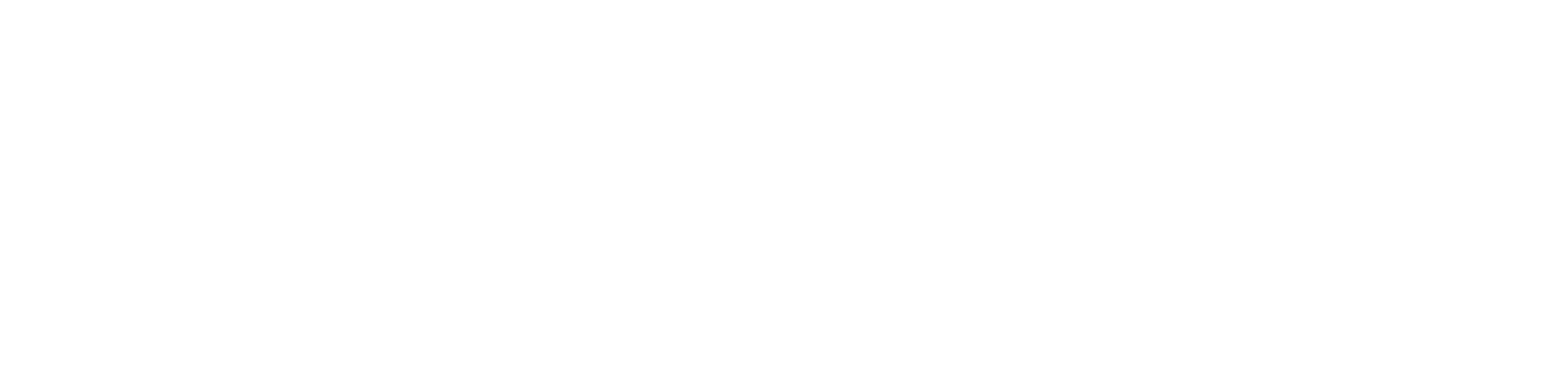 SansStress Logo - White