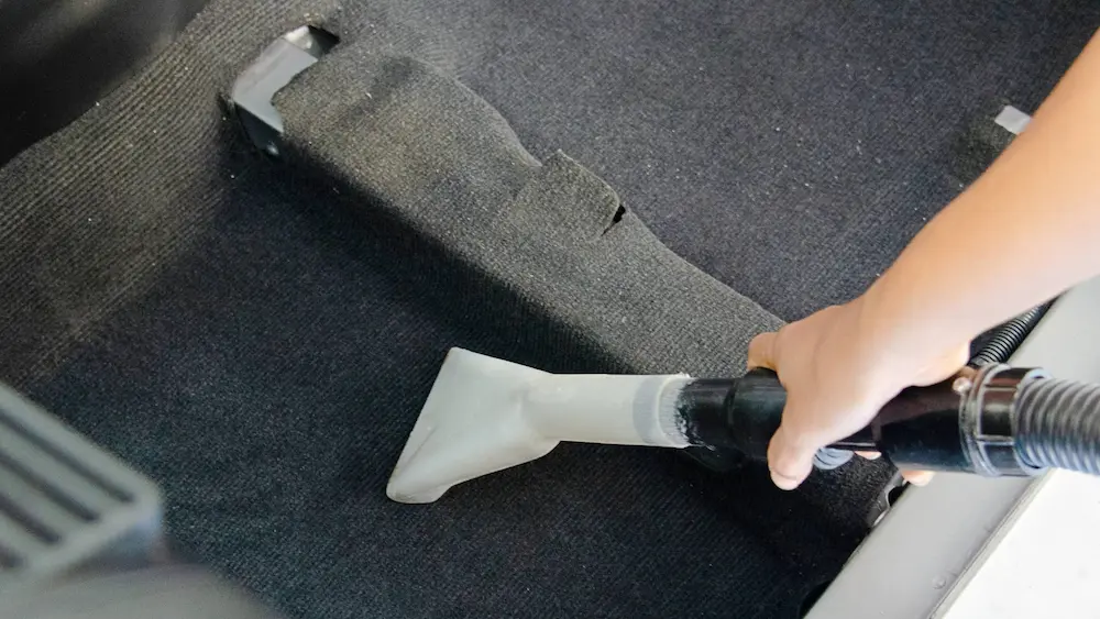tool to remove dog hair from carpet